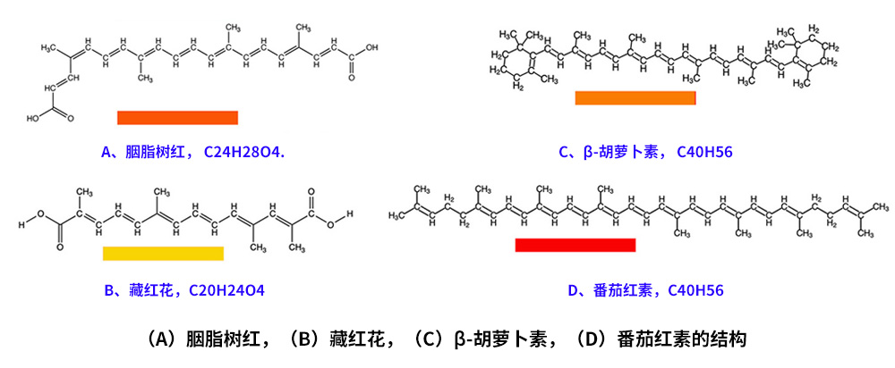 藏紅花、胭脂樹紅、β-胡蘿卜素、番茄紅素的化學(xué)結(jié)構(gòu)